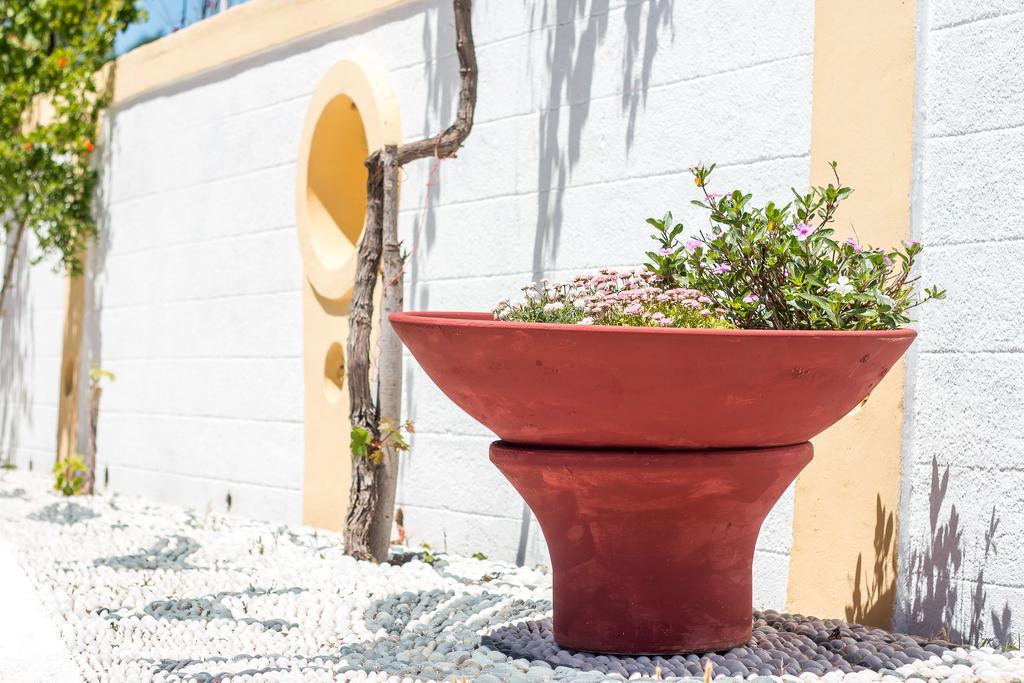 Mosaic Gardens Appartement Faliraki Buitenkant foto
